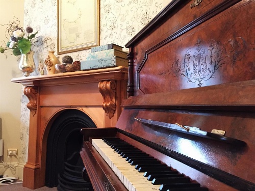 Ellie's Place on City Park image 3