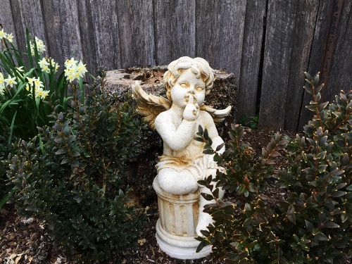 Ellie's Place on City Park image 41